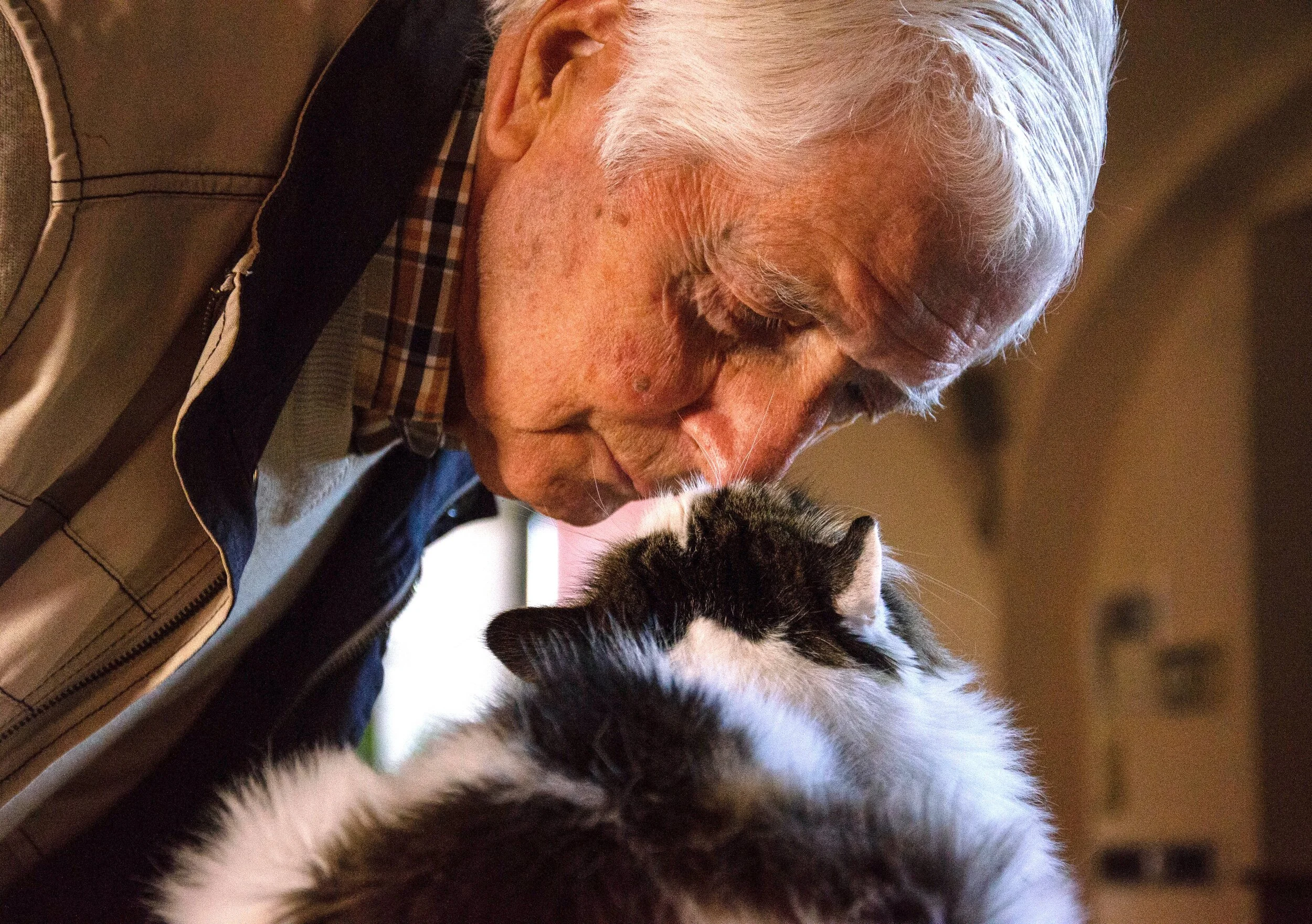 A senior nuzzling his pet cat affectionately