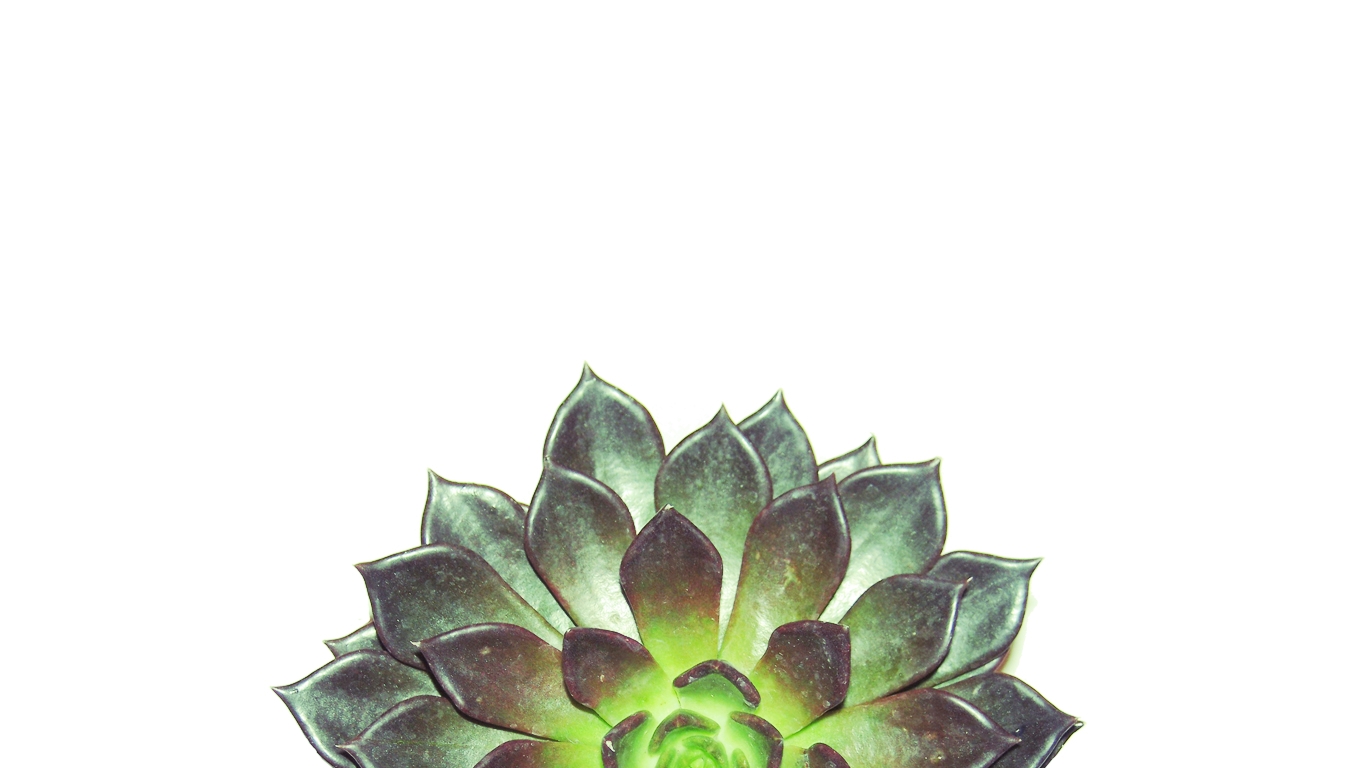 background.jpg