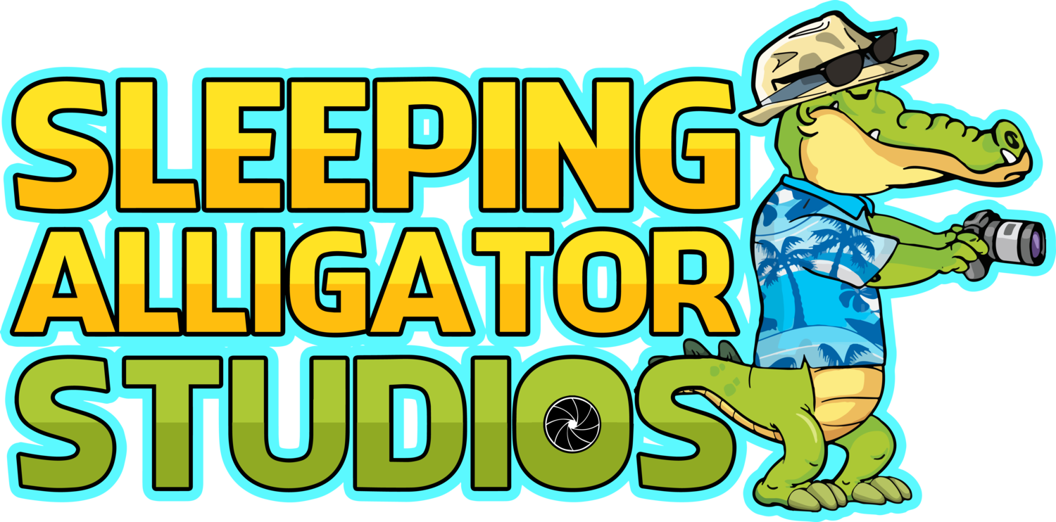  Sleeping Alligator Studios