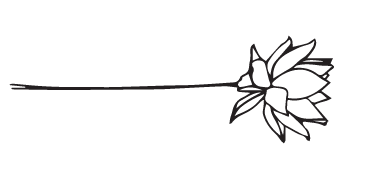 NEW bloom logos outlined color - Main copy 2.png