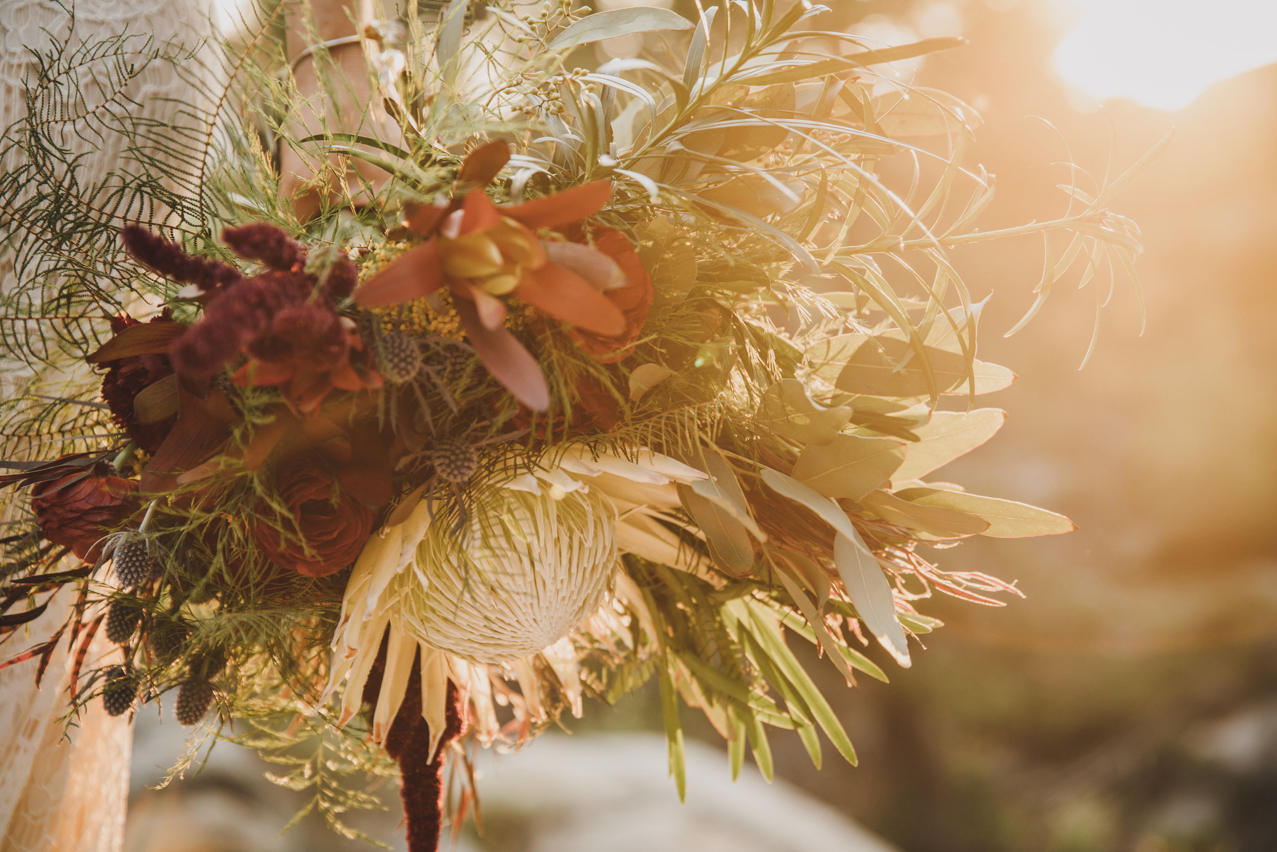 bridal bouquet white protea florist bloom generation 