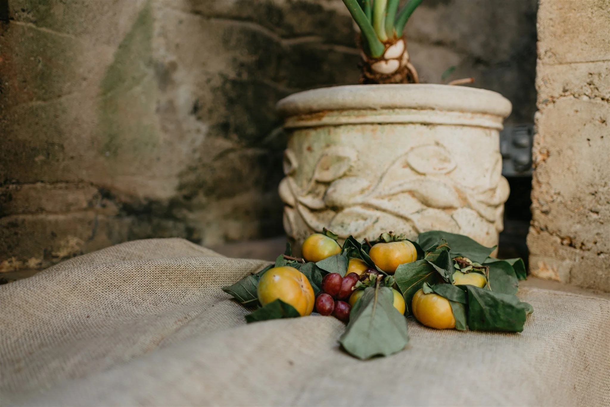 wedding-4437(1).jpg