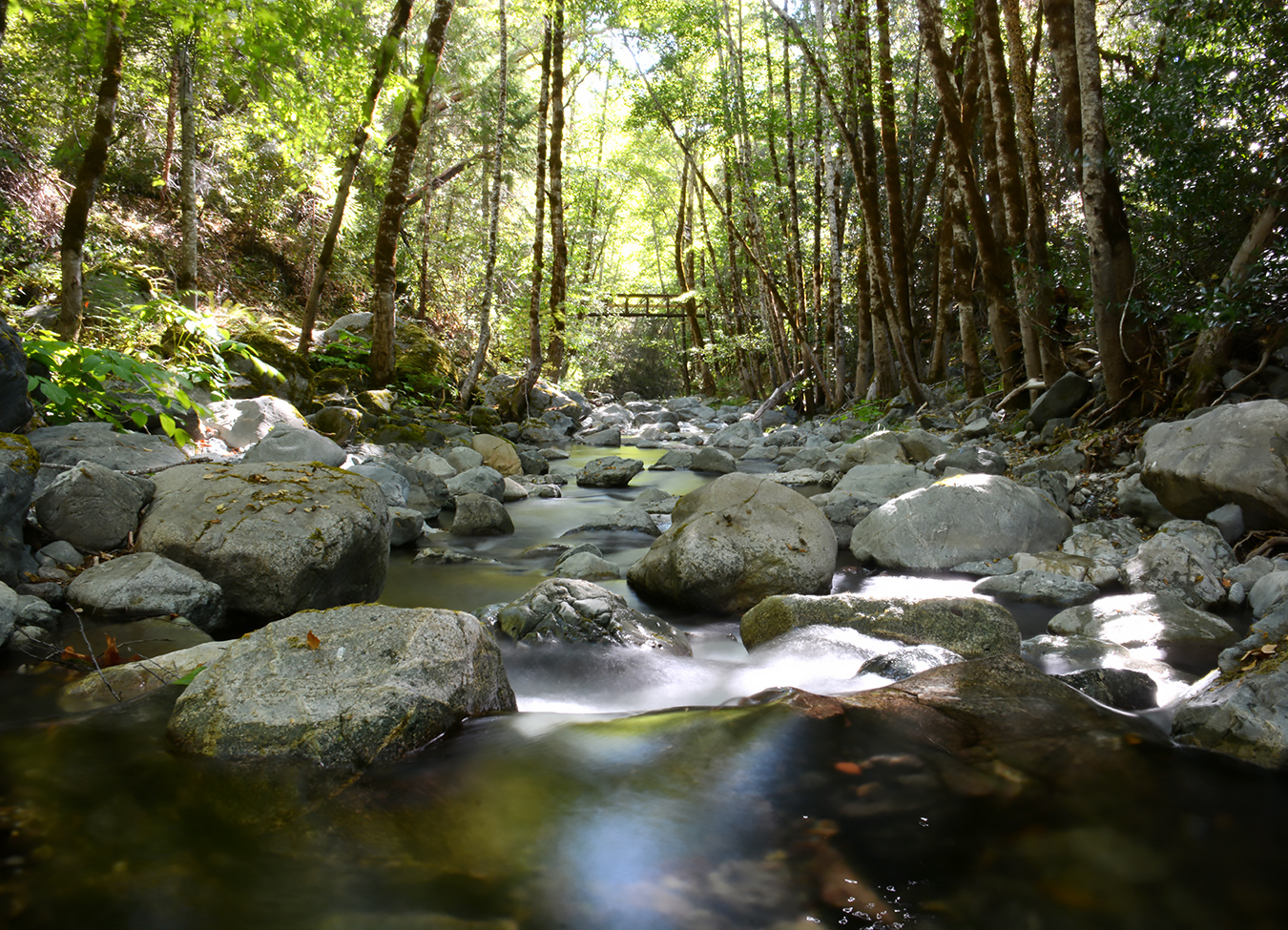 DSC_7757.jpg