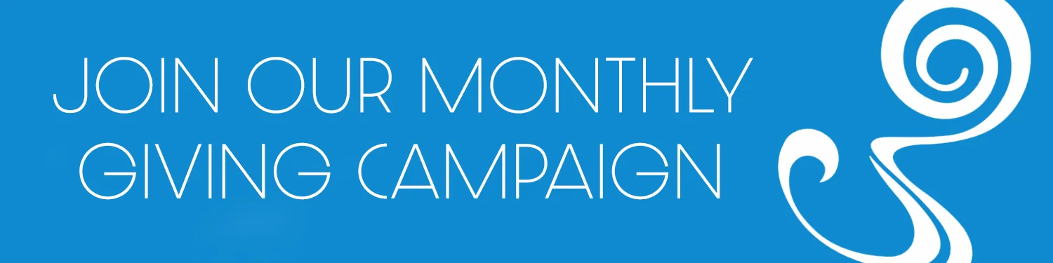 Fundraising Header - custom-Recovered.jpg