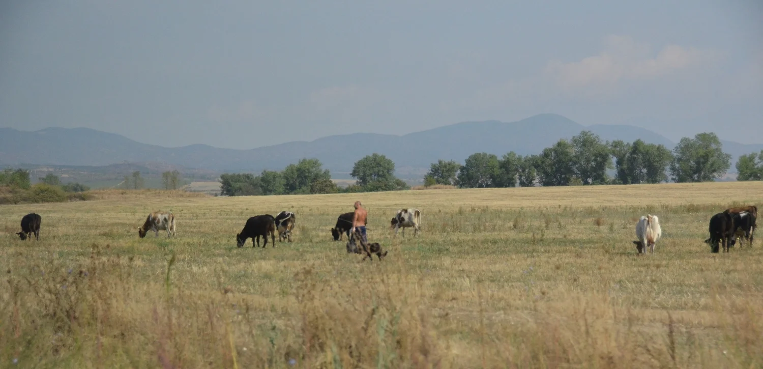 DSC_2658.JPG