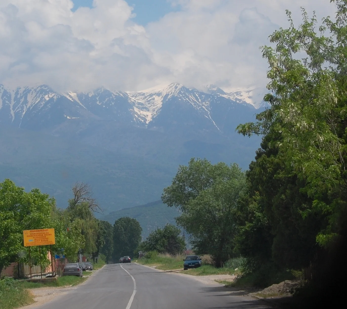 DSC_3113.JPG