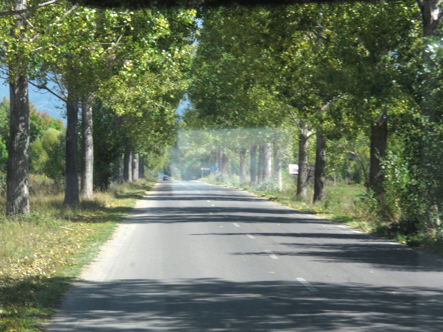 I always enjoy a tunnel of trees.