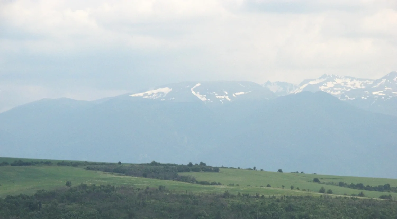 IMG_1292.JPG