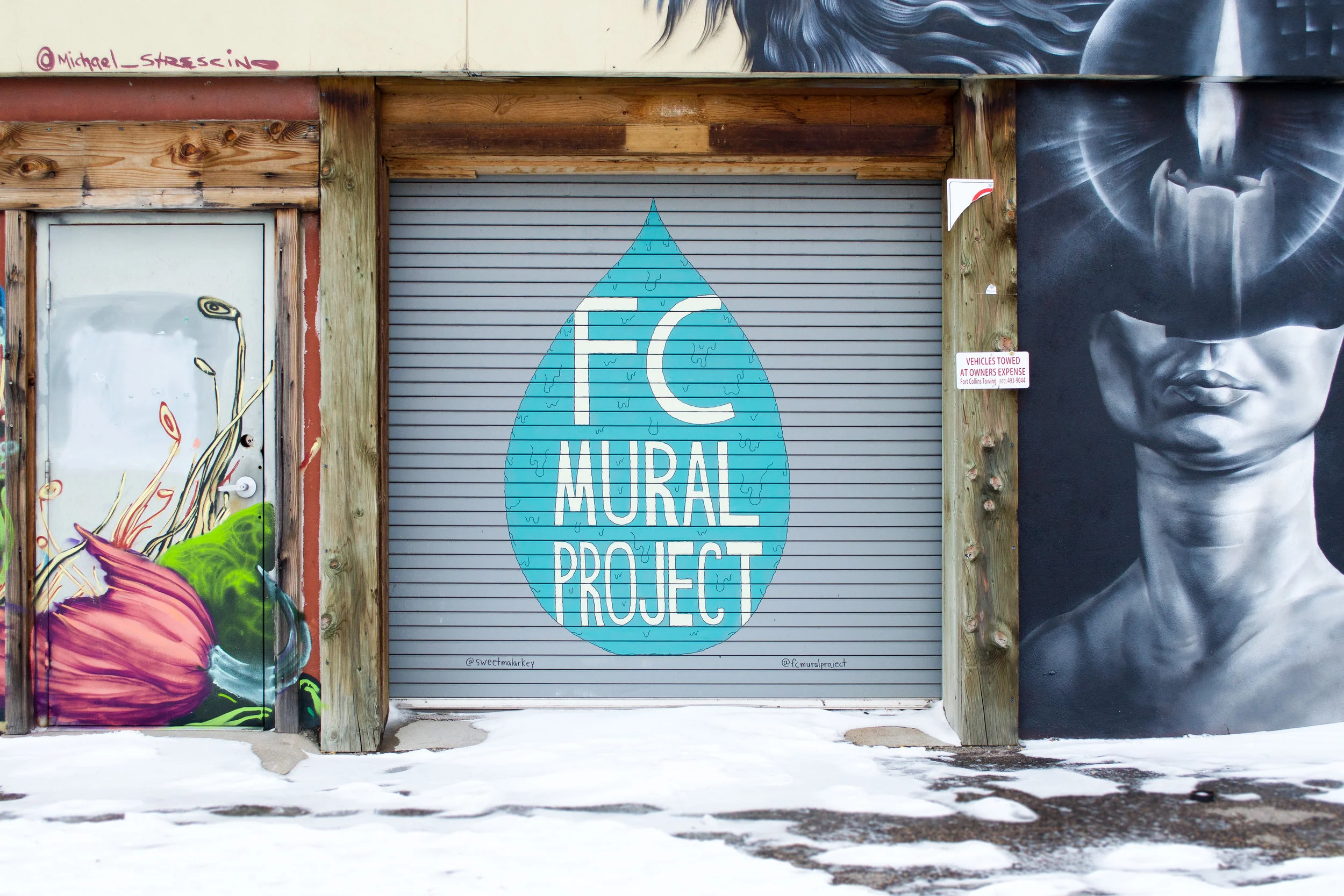 Mental Health Murals — FC Mural Project