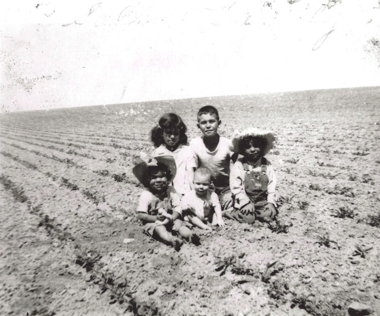 Selano family in the beet field they worked as children in Fort Collins