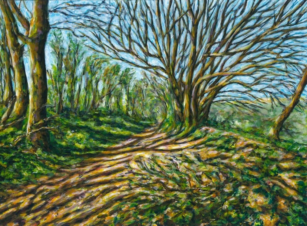 Twisted tree - South Downs Way.jpg