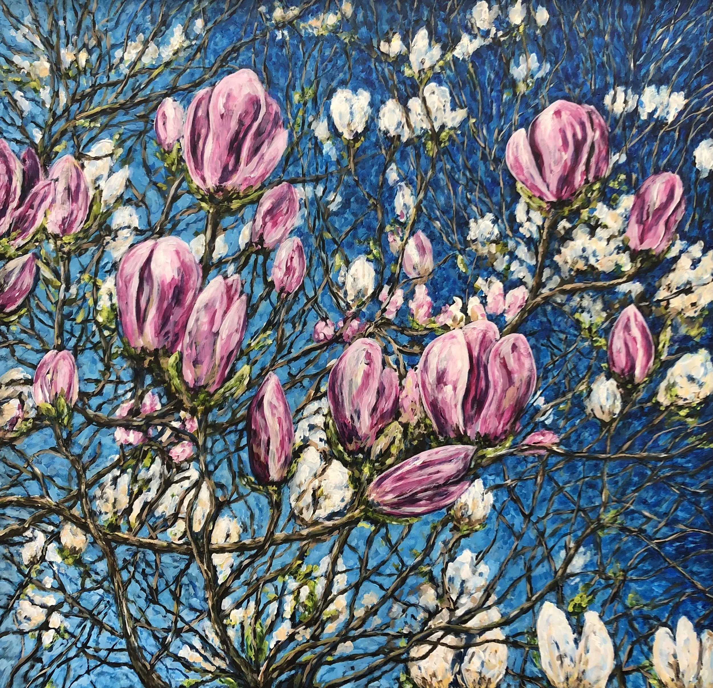 Magnolia tree.jpg
