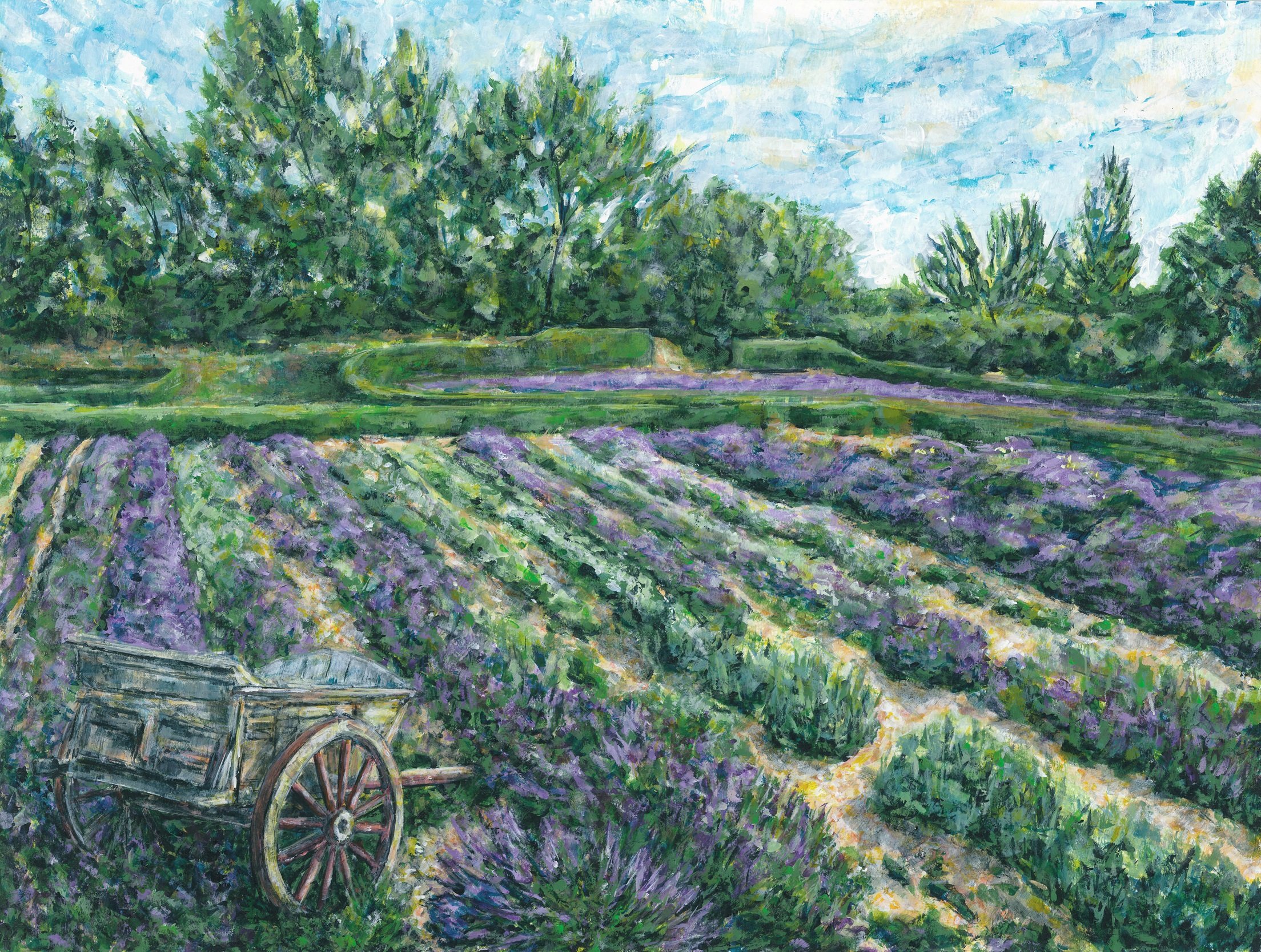 Lavender field, Long Barn.jpg