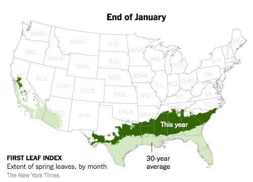 This year, "first leaf" vegetation arrived much earlier than the 30-year average.