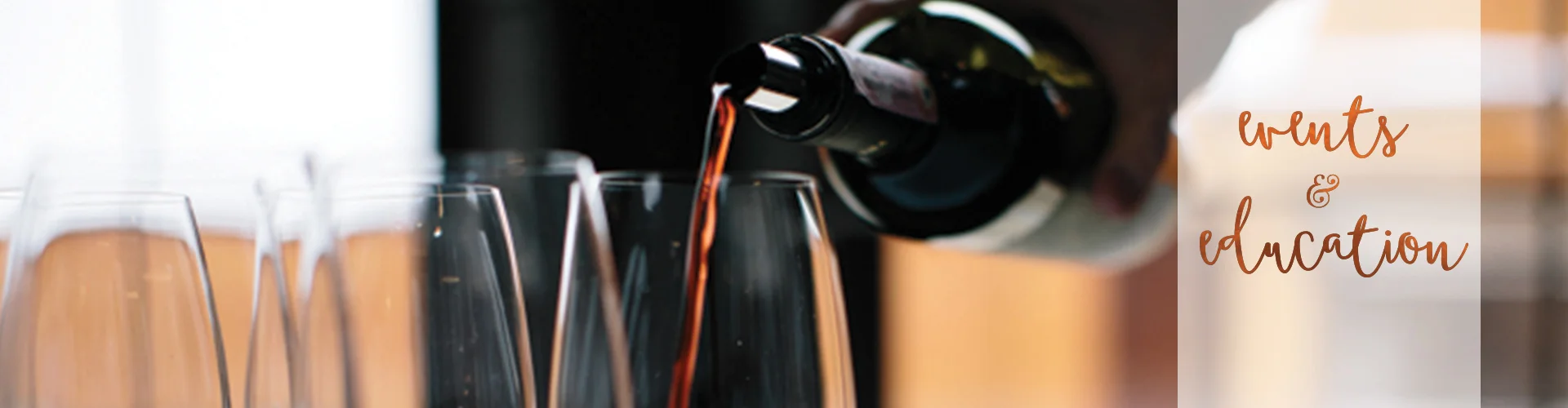 Fun with Wine and Food