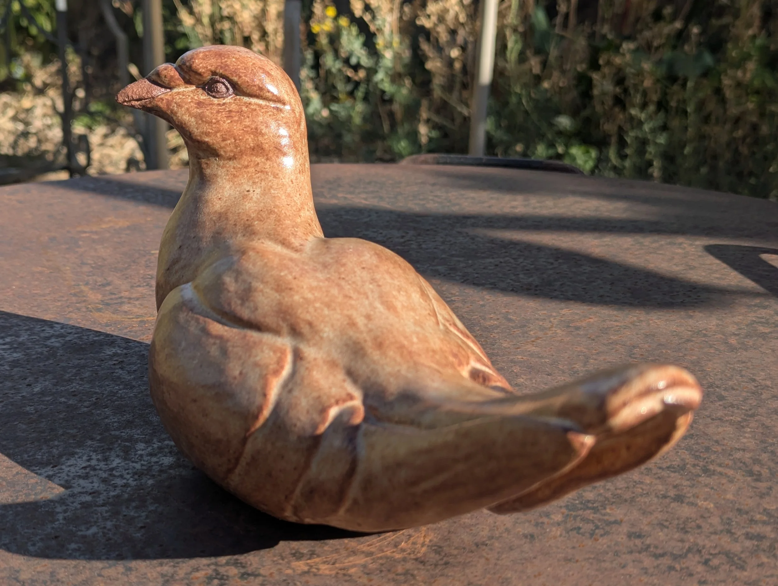 PXL_20260905_232124674.jpg