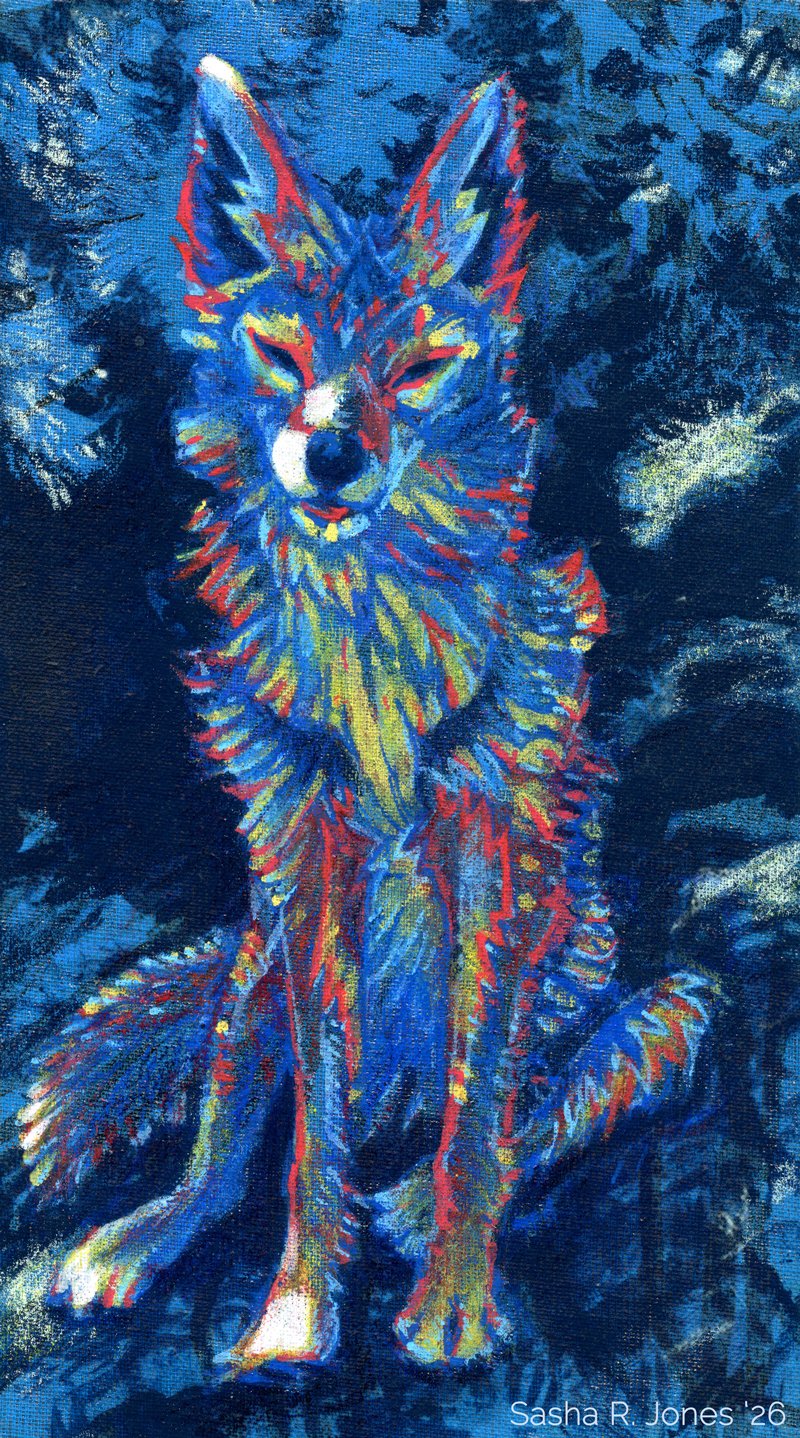 Blue-Shade-Coyote.jpg