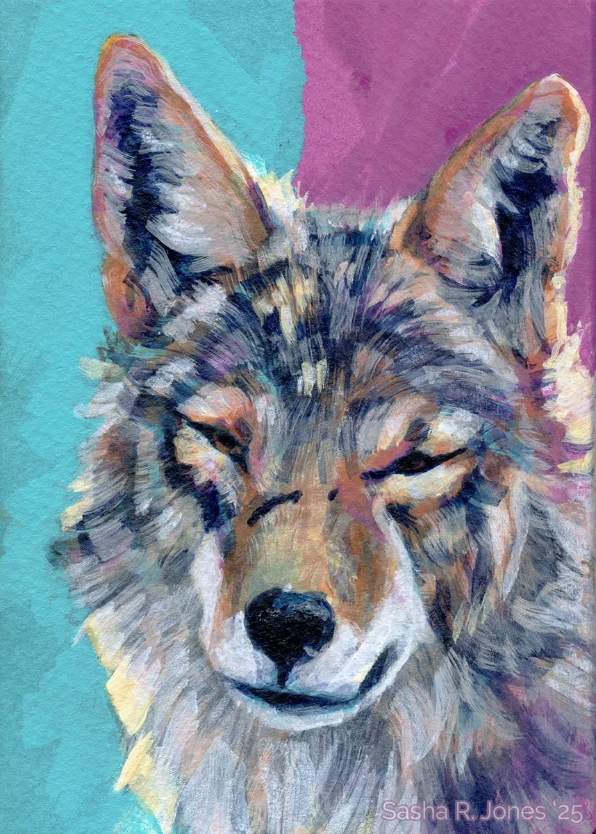 Feb-Coyote-Study-15.jpg