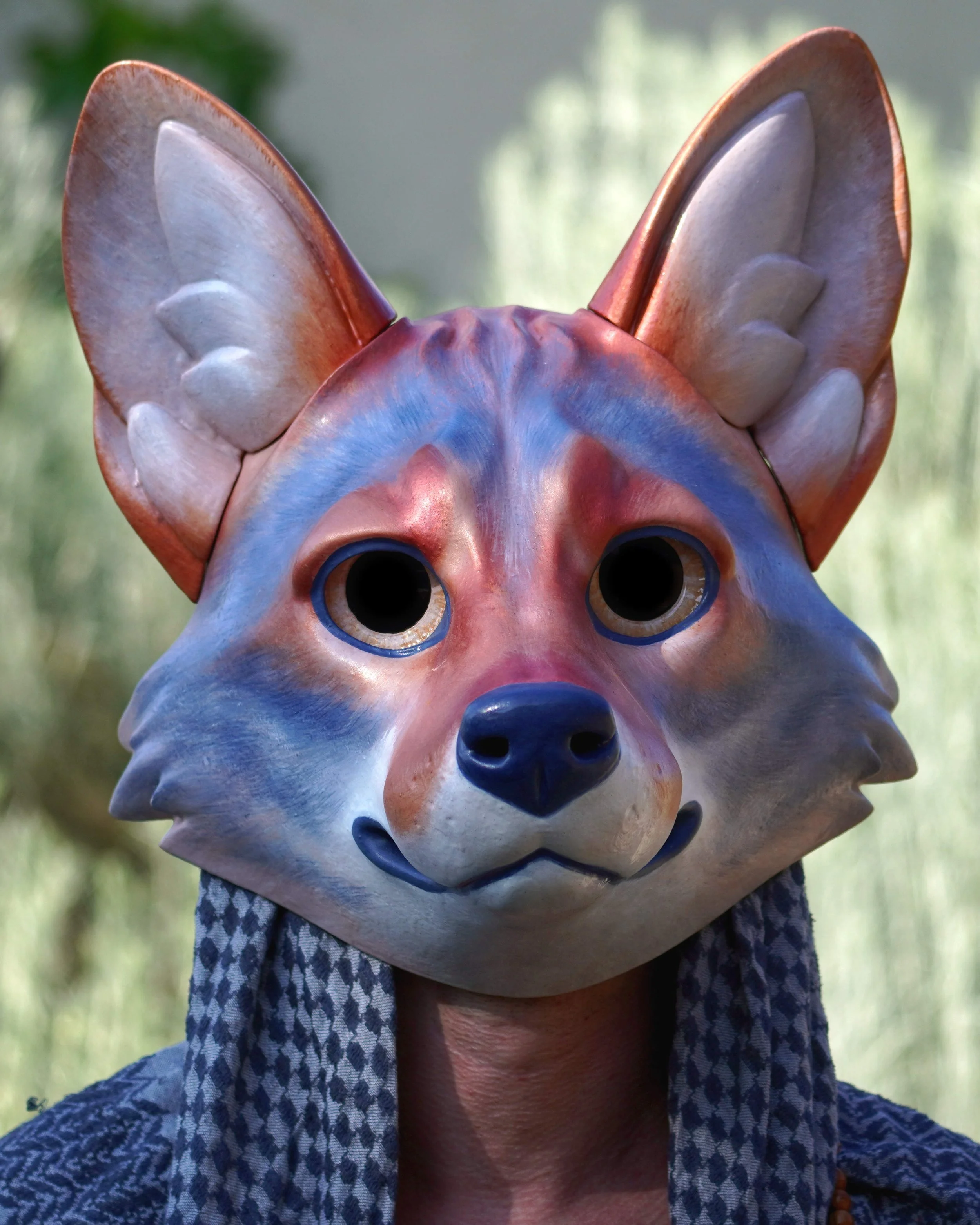 DSC06657.jpg