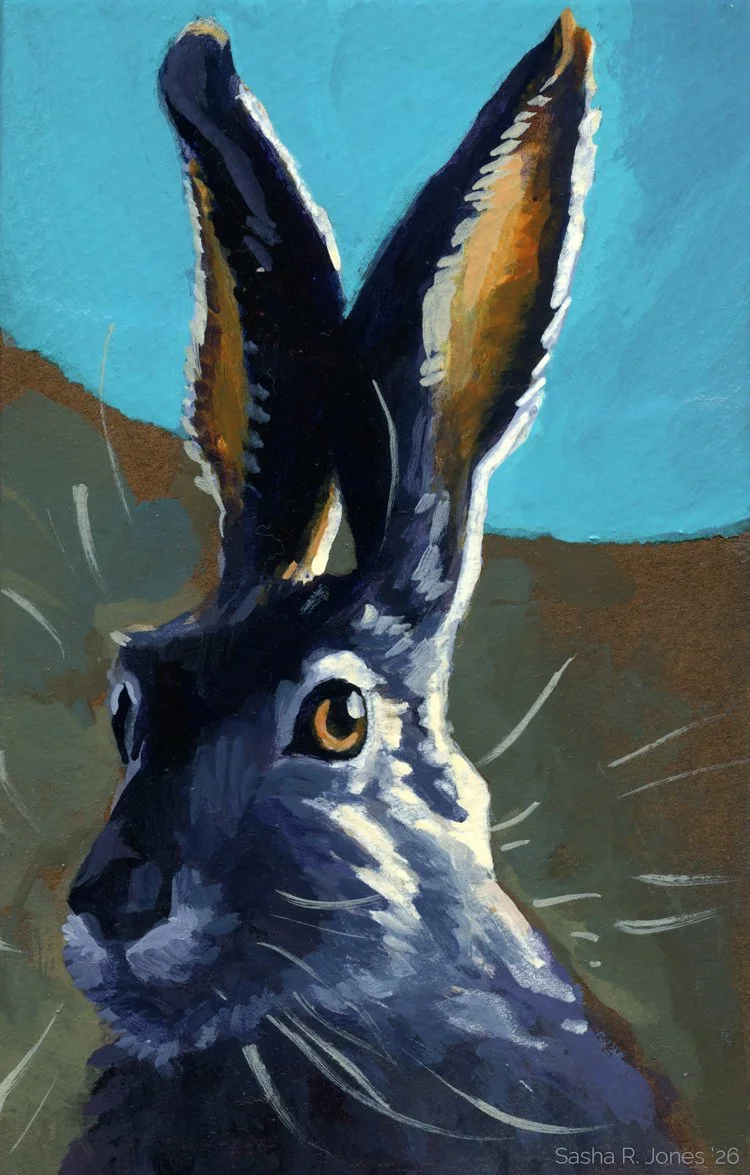 Hare-Study-12.jpg