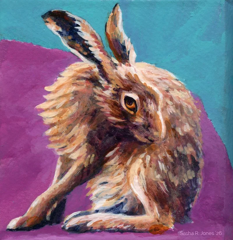 Hare-Study-9.jpg
