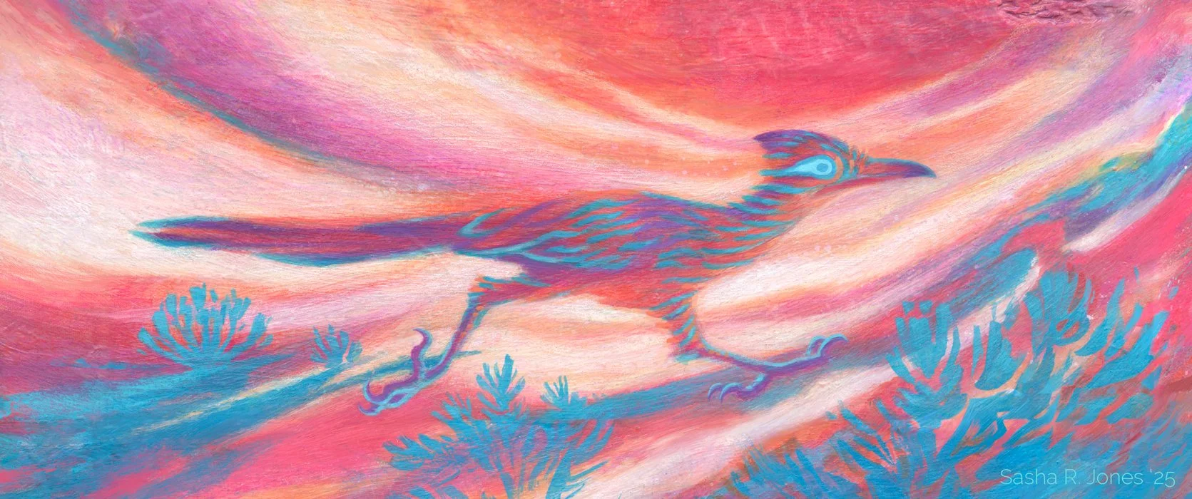 Roadrunner.jpg