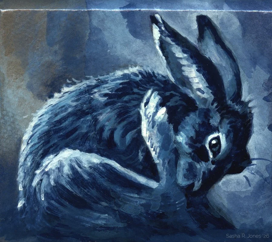 Hare-Study-4.jpg