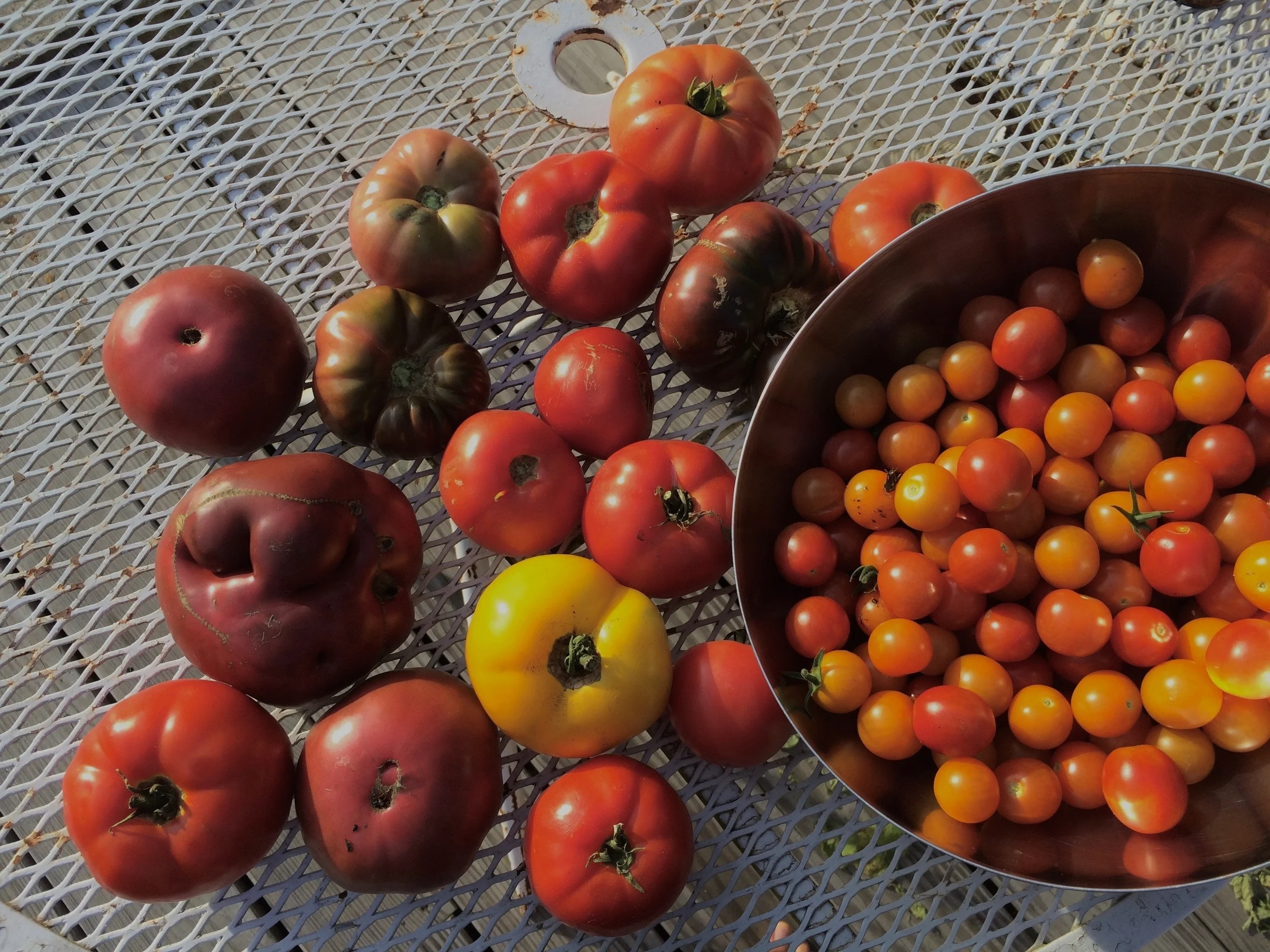 Alone in the Kitchen... with a Fridge Full of Vegetables
