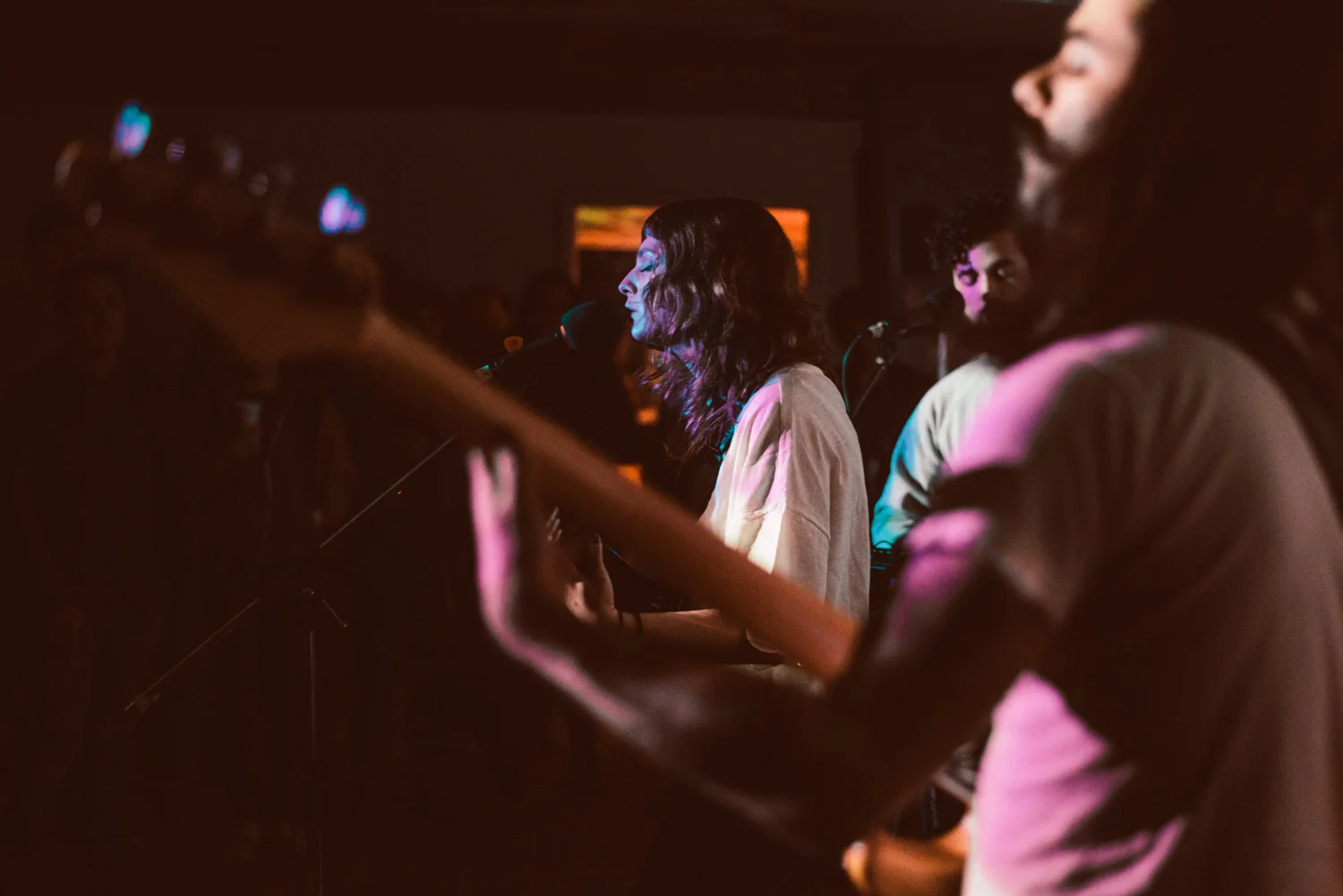 Muff-5.jpg