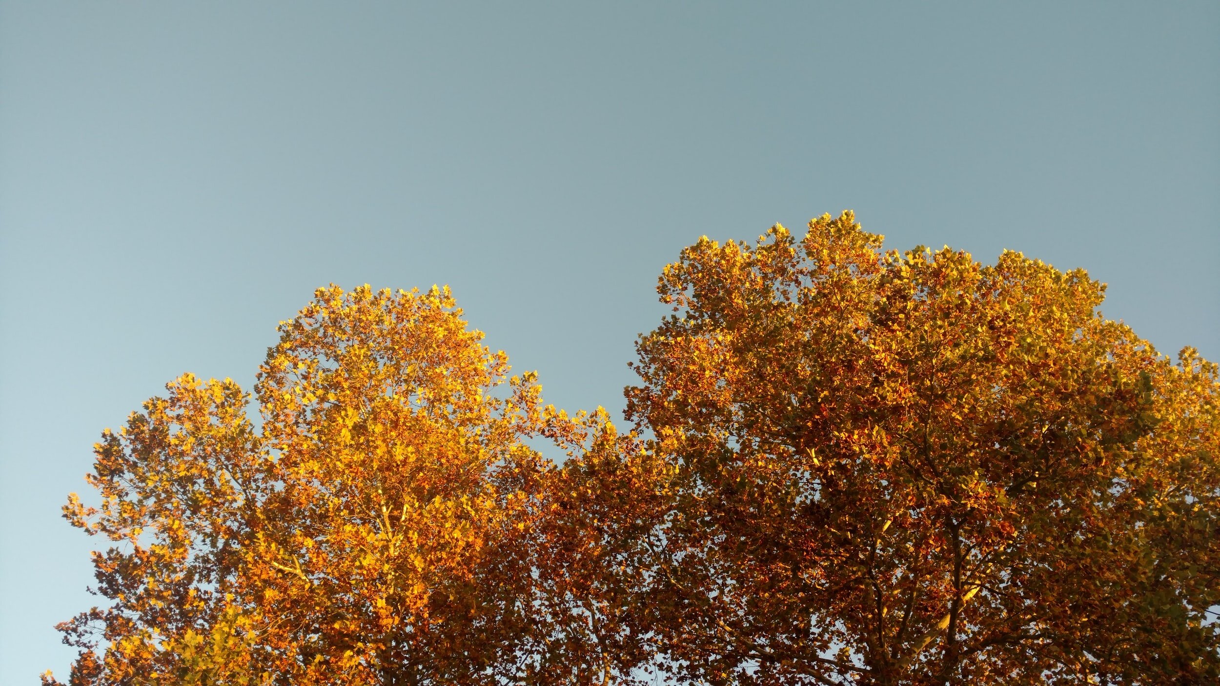 There Is More Ministries Newsletter - November 2020