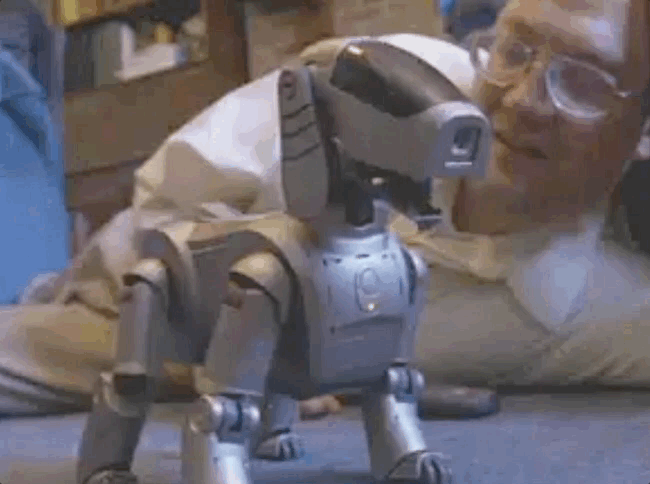 Dog.gif
