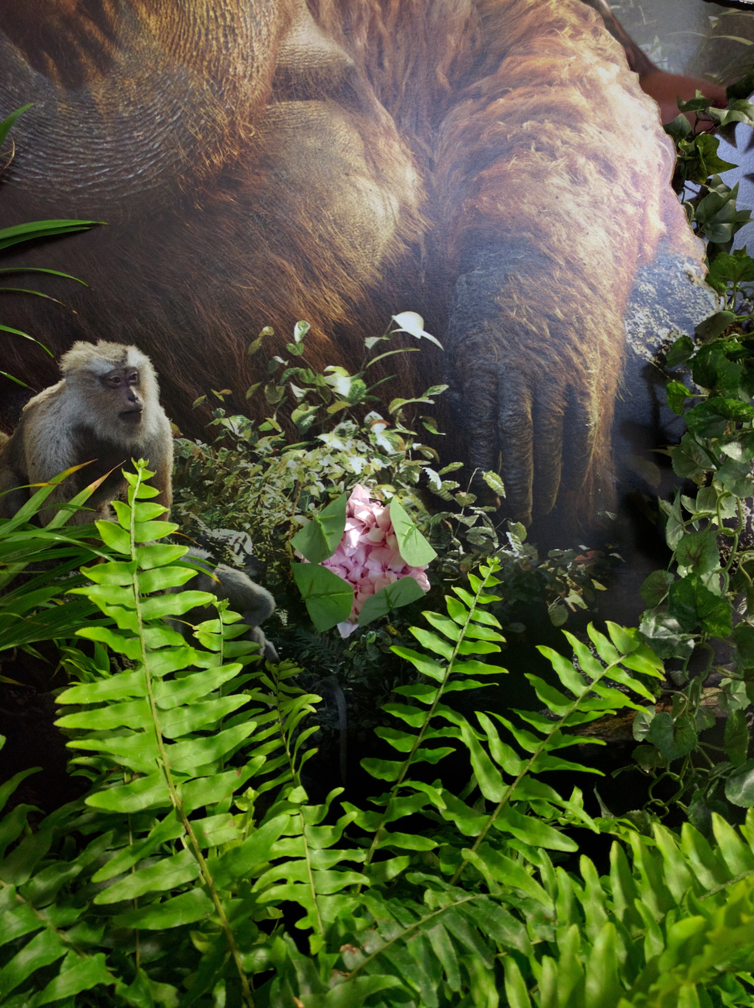Disney_JungleBook_2.jpg