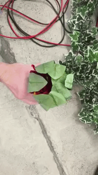 Flower.gif