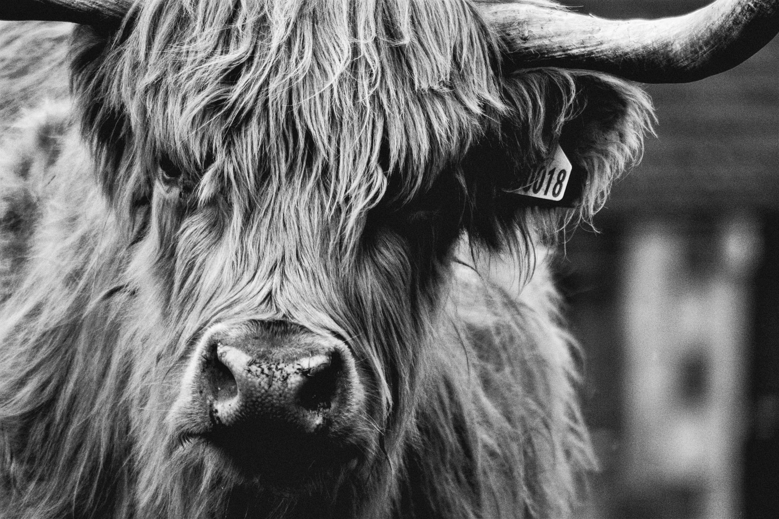 unsplash-image-58anvdMm3ms.jpg