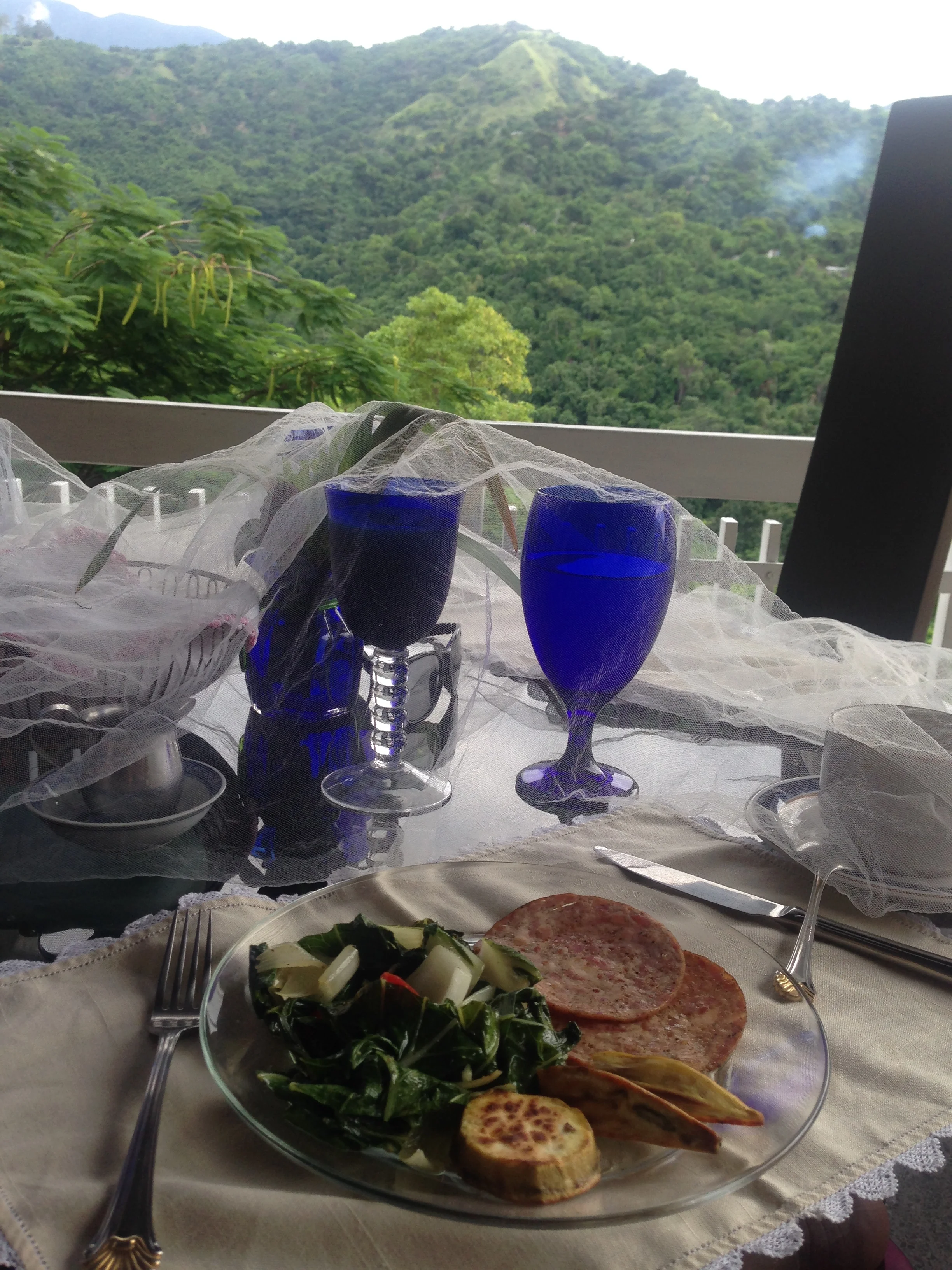 Greens, sausage and plantains cooked for us at the B&B Neitas nest. Kingston, Jamaica 