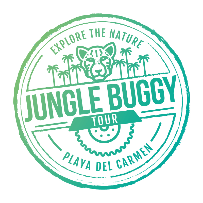 Jungle Buggy Tour