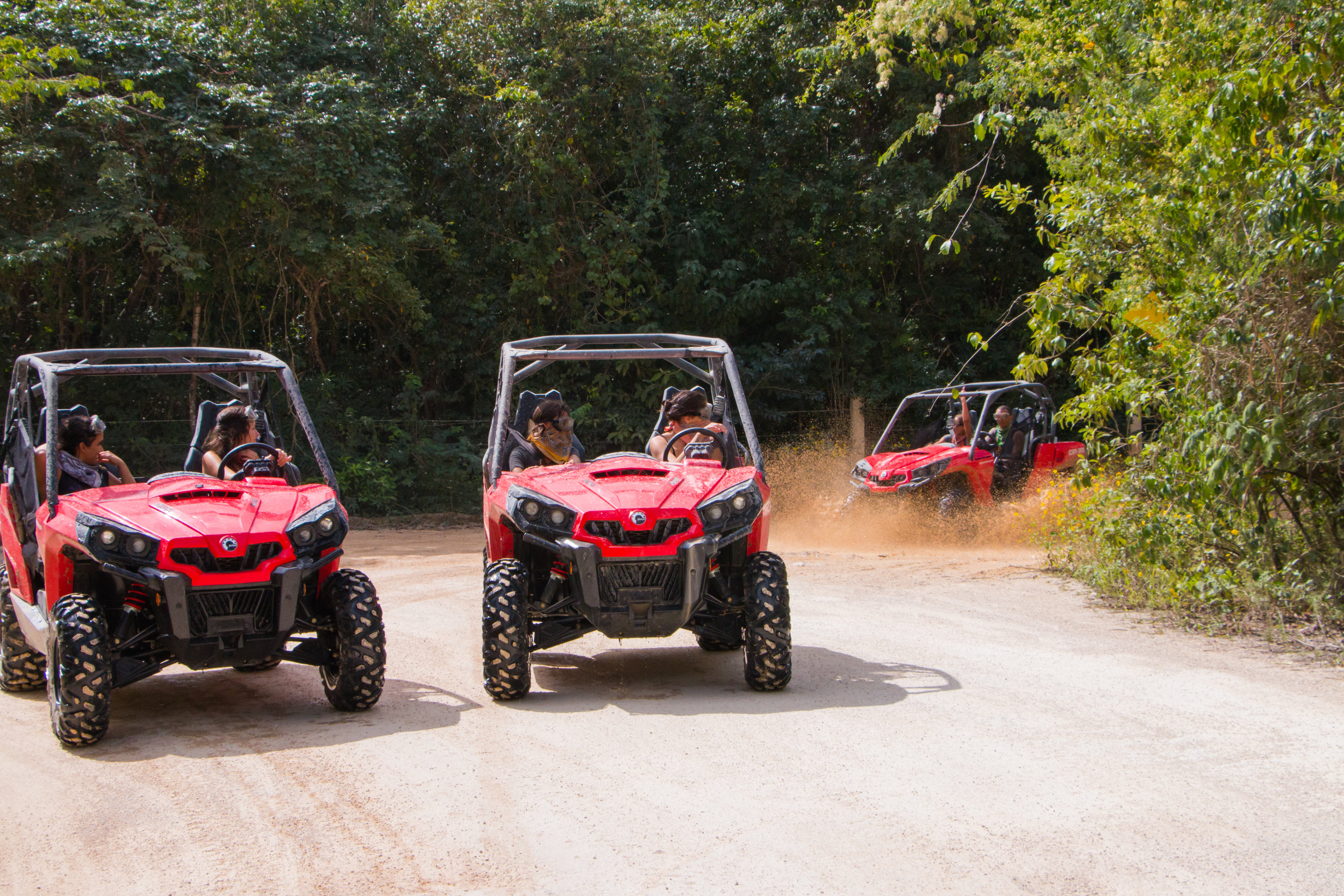 jungle buggy tour