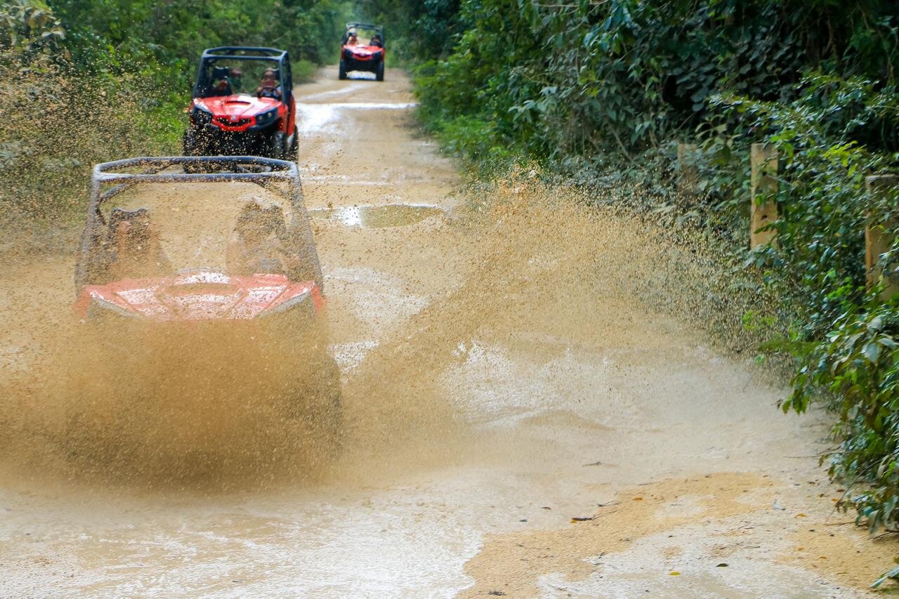 jungle buggy tour