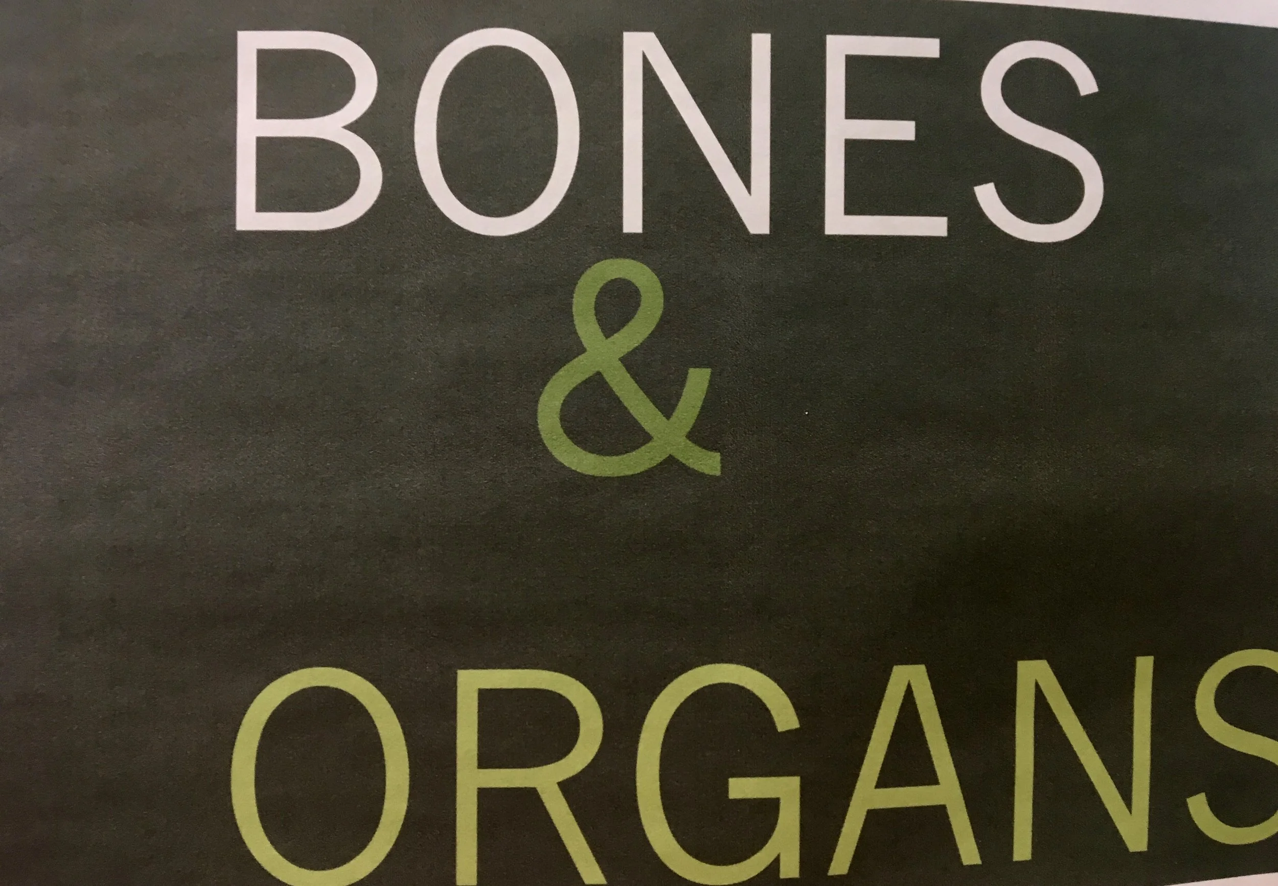 lots of marrow bones, chicken feet, and organ meats