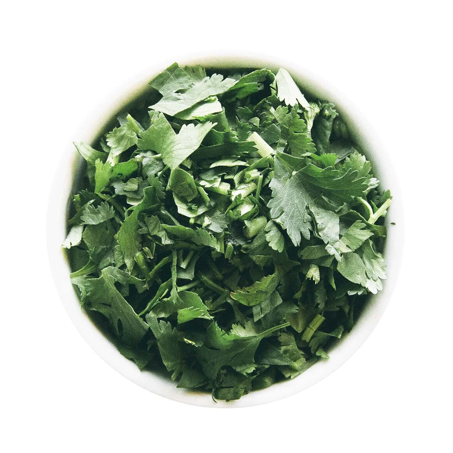 cilantro