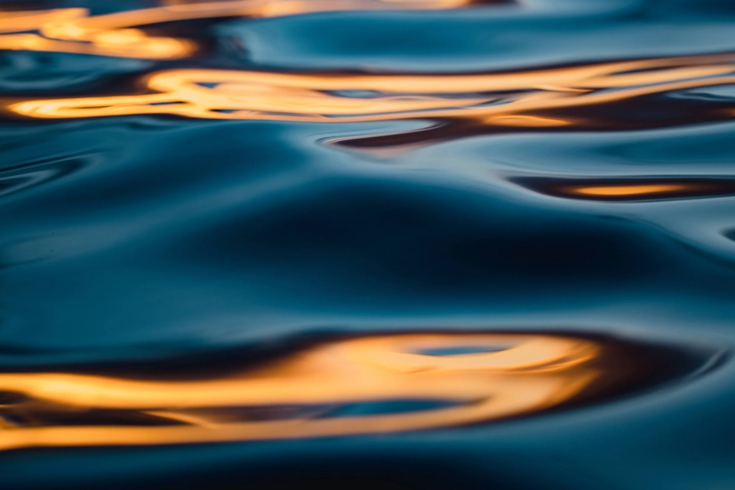 unsplash-image-jHshozZGkyw.jpg