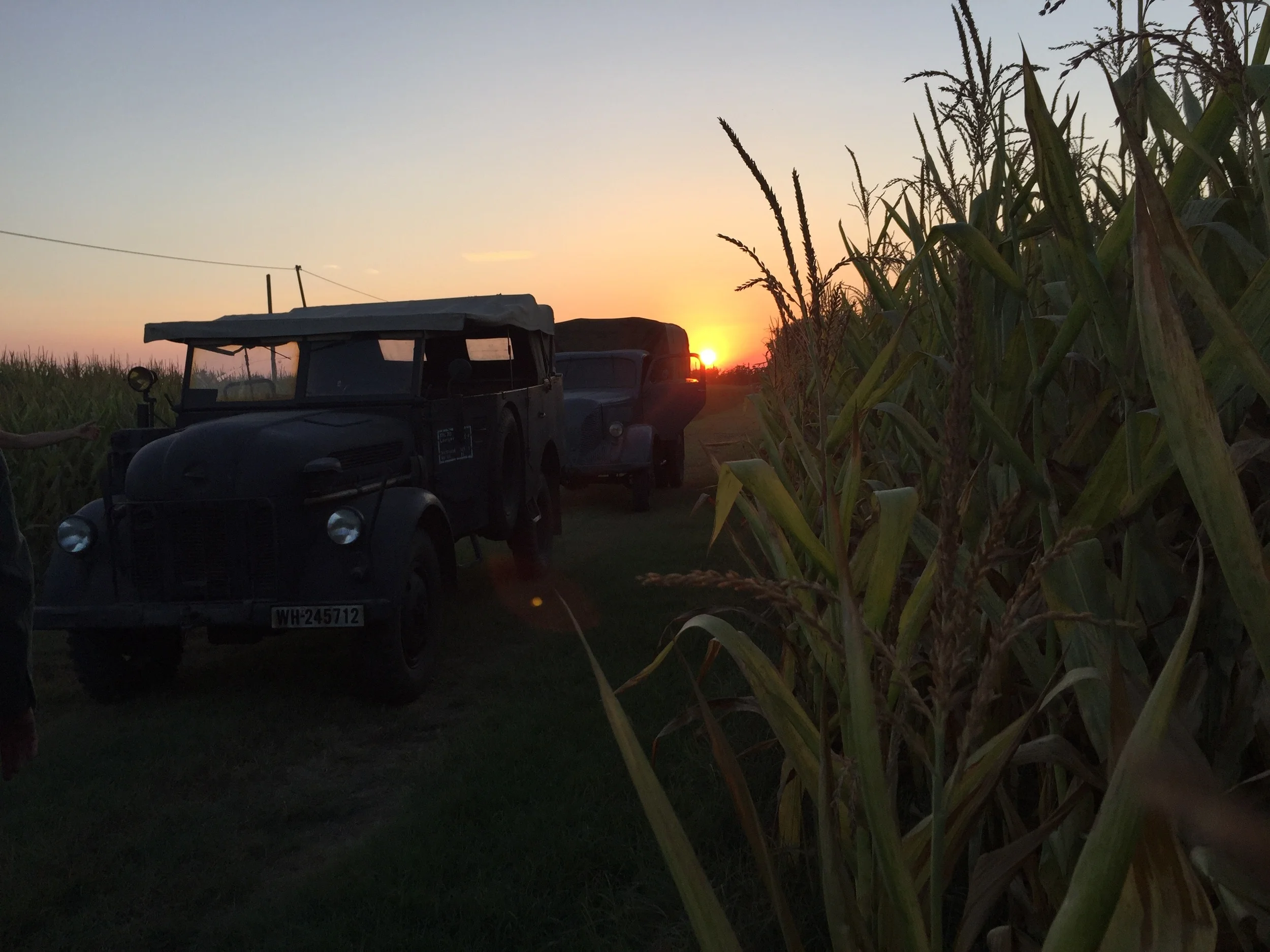 Steyr 1500A and the sunset