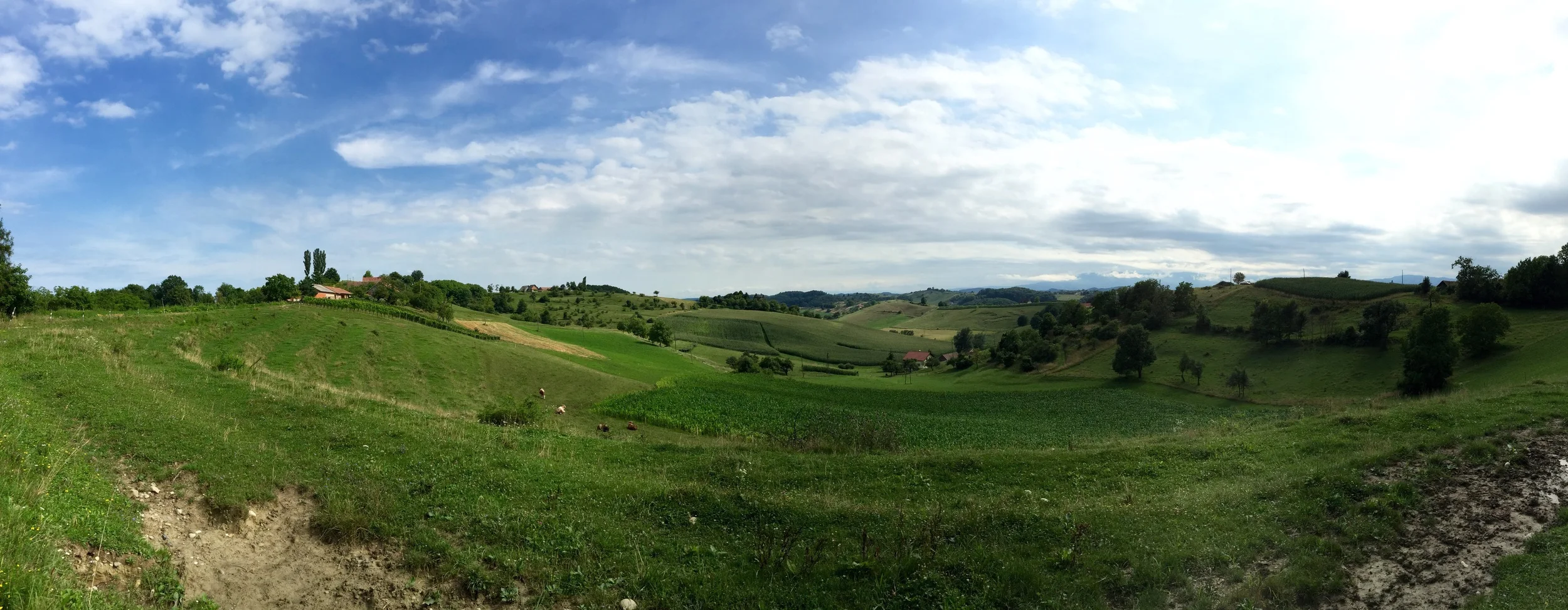 stunning hilly side in Slovenia