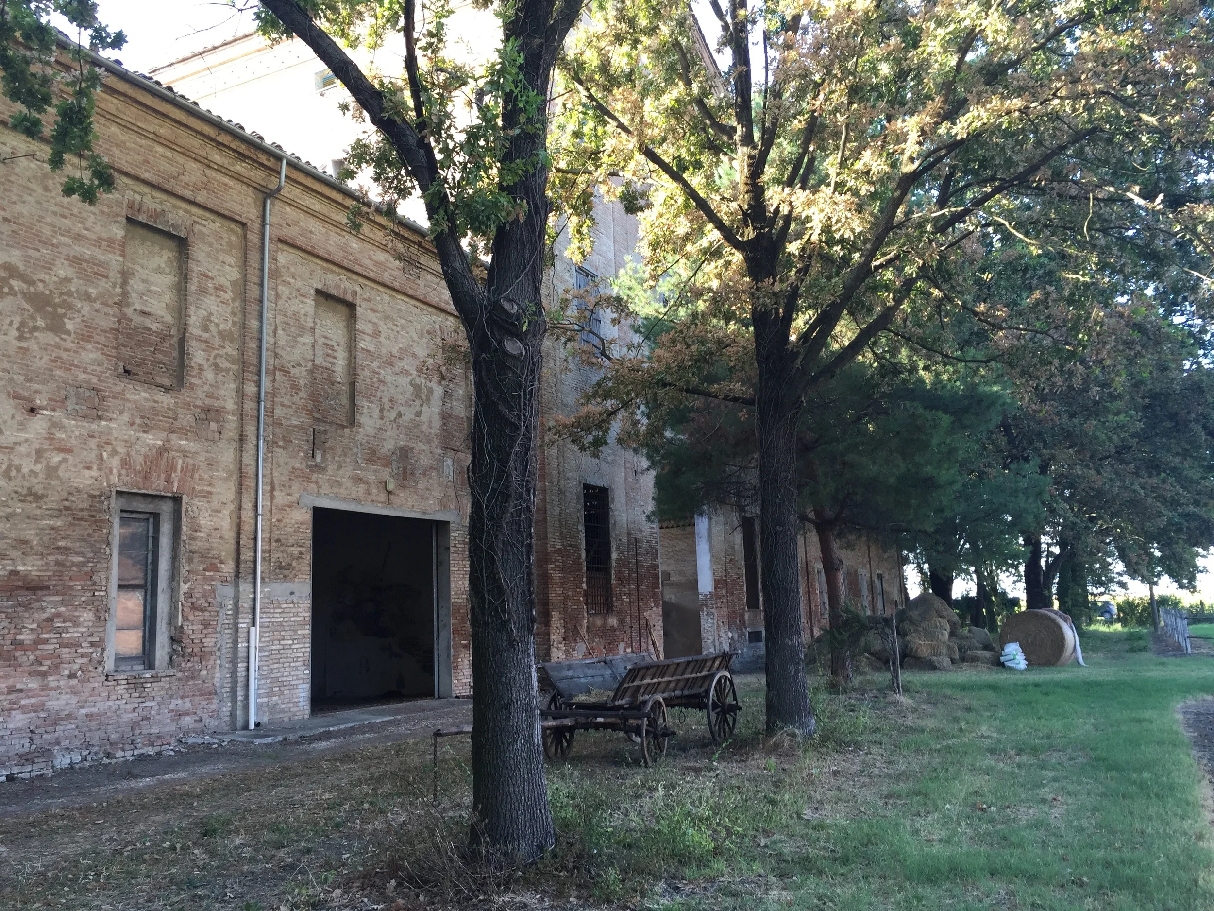horse breeding ranch