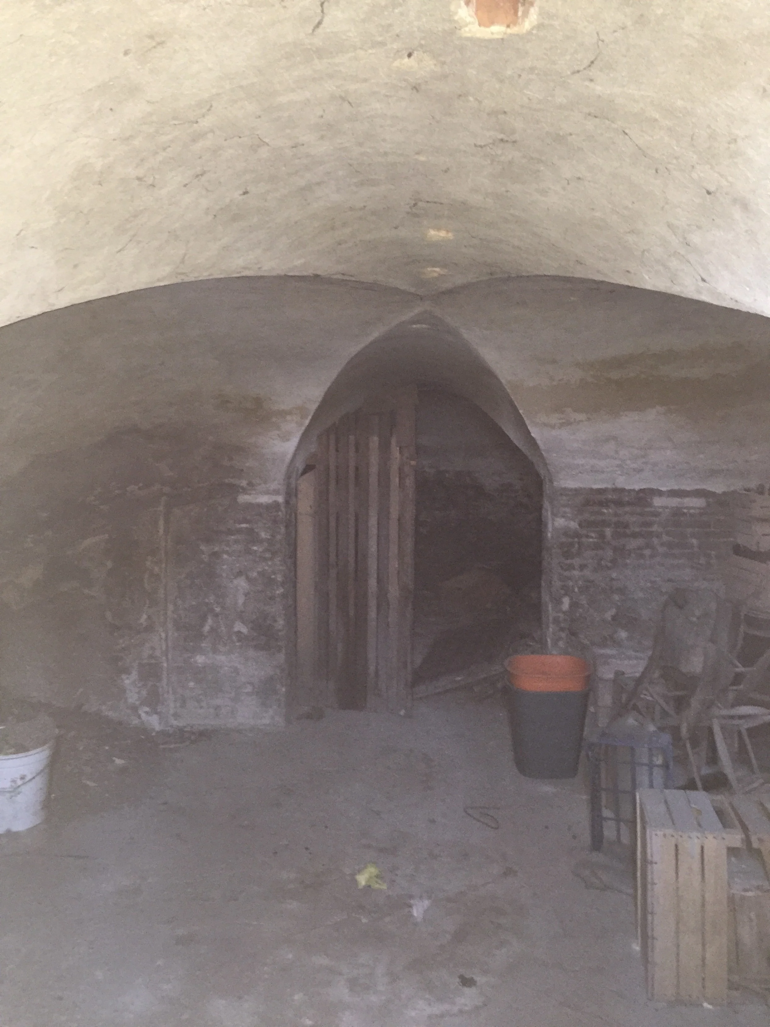 horse breeding ranch - cellar
