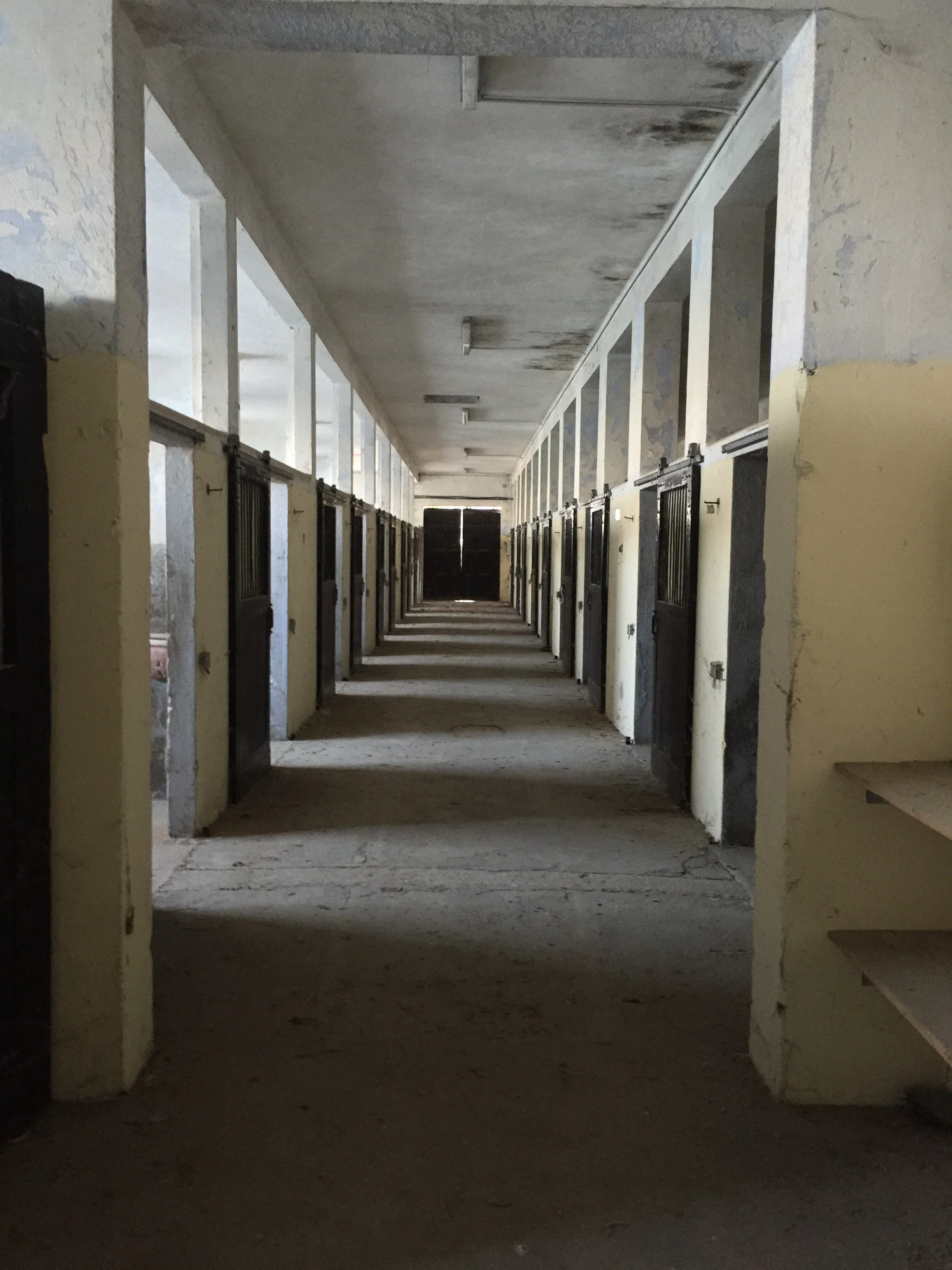 inside of the stables