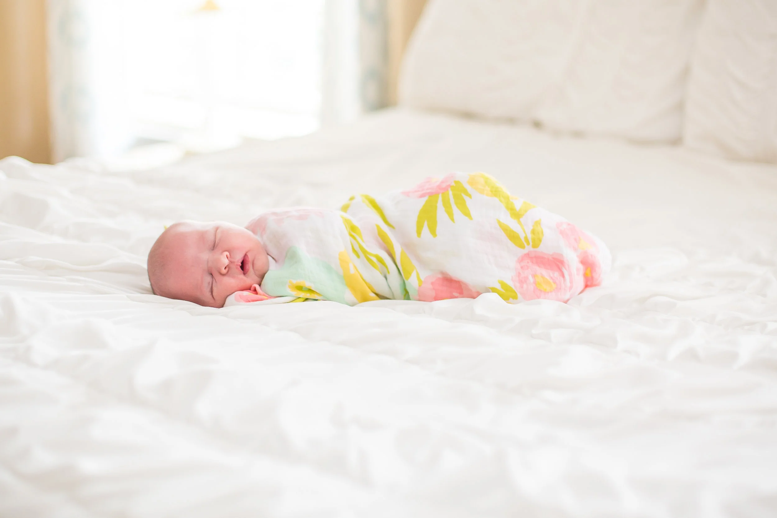 amelia (88 of 139).jpg