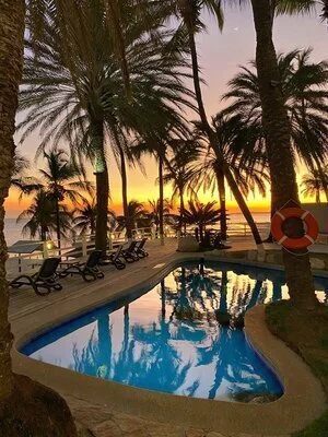 PARADISE SURF (Copy)