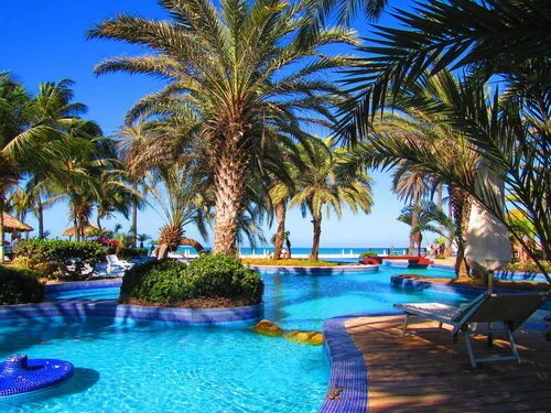 PARADISE COCHE (Copy)