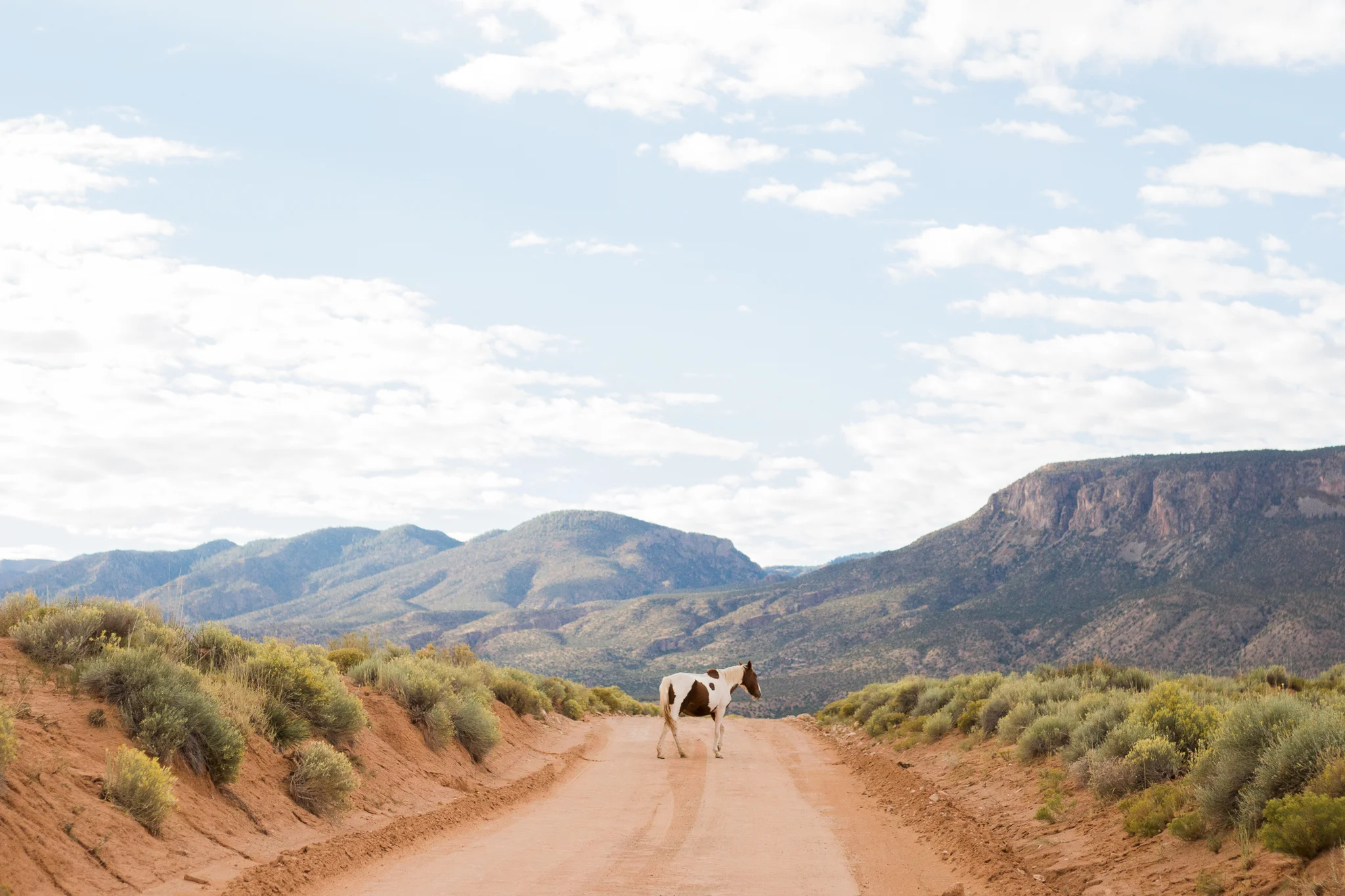 RoadTrip-8.jpg